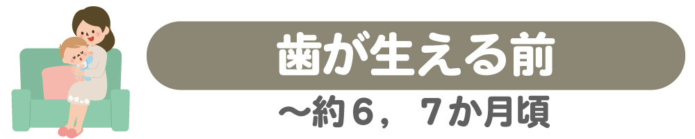 歯が生える前(～約６，７か月頃)