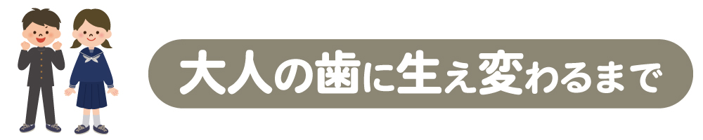 大人の歯に生え変わるまで